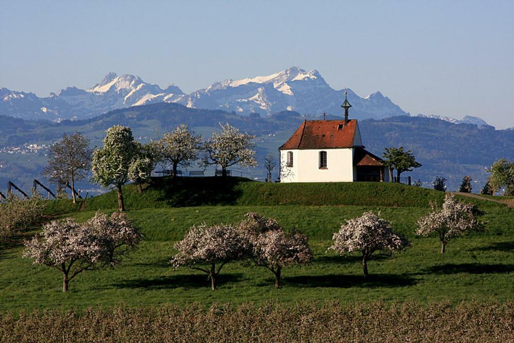 Apartment Zum Seglerhafen – Kressbronn am Bodensee